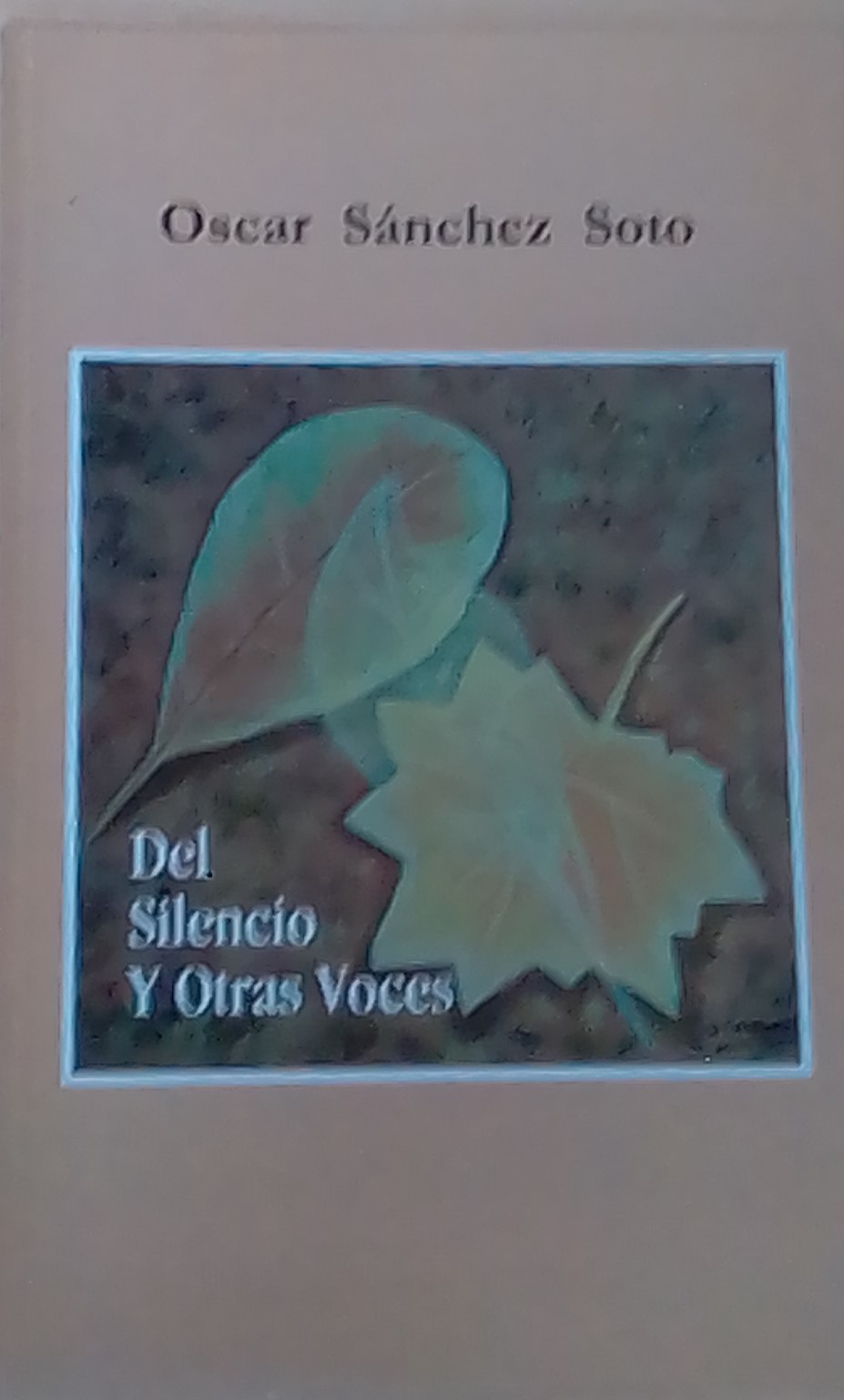 Del silencio y otras voces